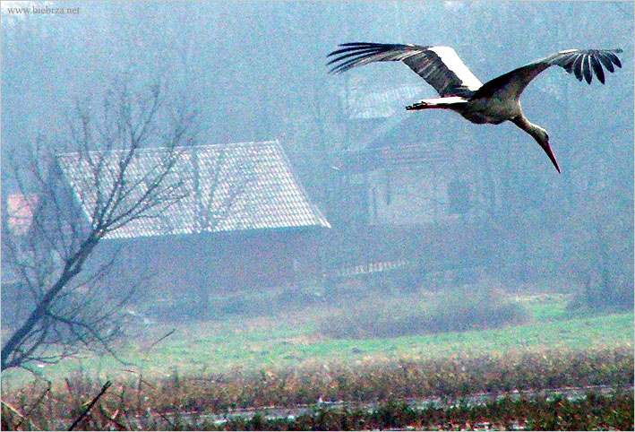 fot. Krzysztof Pochodowicz