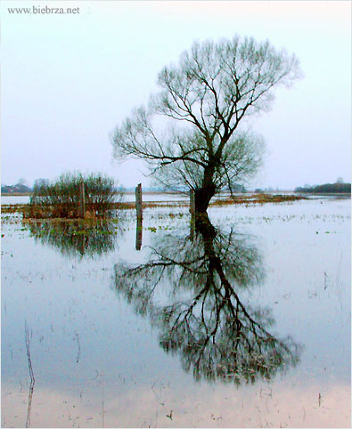 fot. Krzysztof Pochodowicz