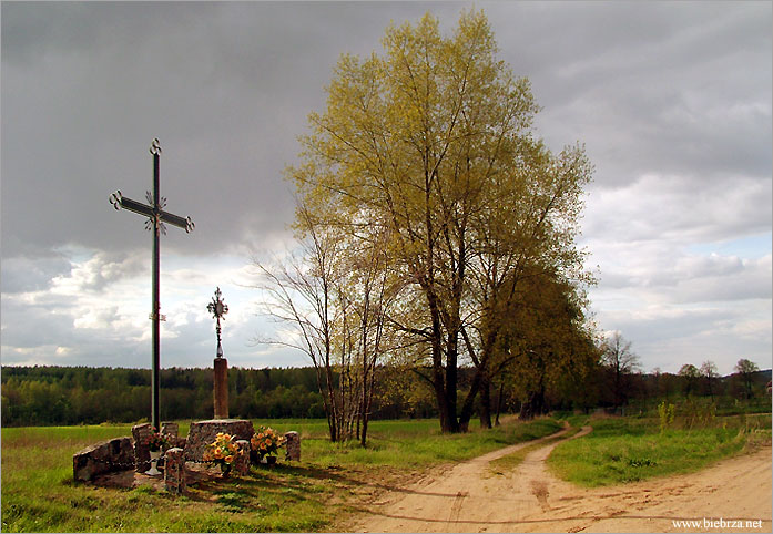 fot. Krzysztof Pochodowicz