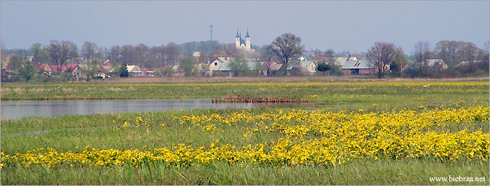 fot. Krzysztof Pochodowicz