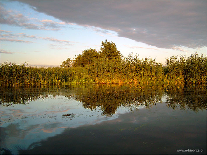 fot. Krzysztof Pochodowicz