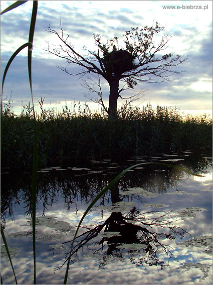 fot. Krzysztof Pochodowicz