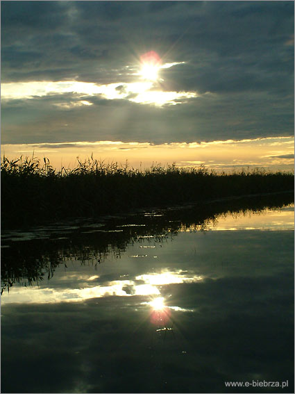 fot. Krzysztof Pochodowicz