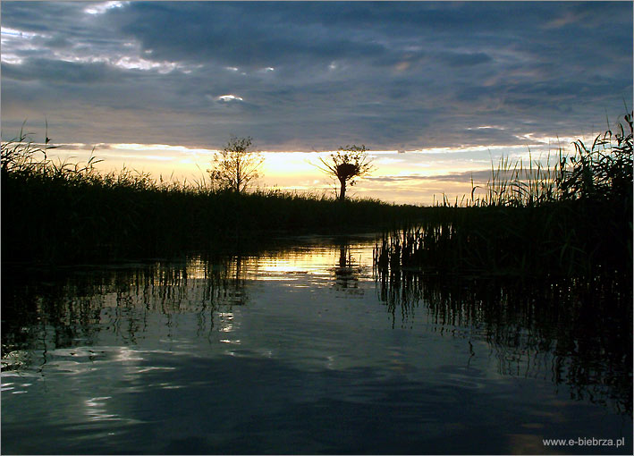 fot. Krzysztof Pochodowicz