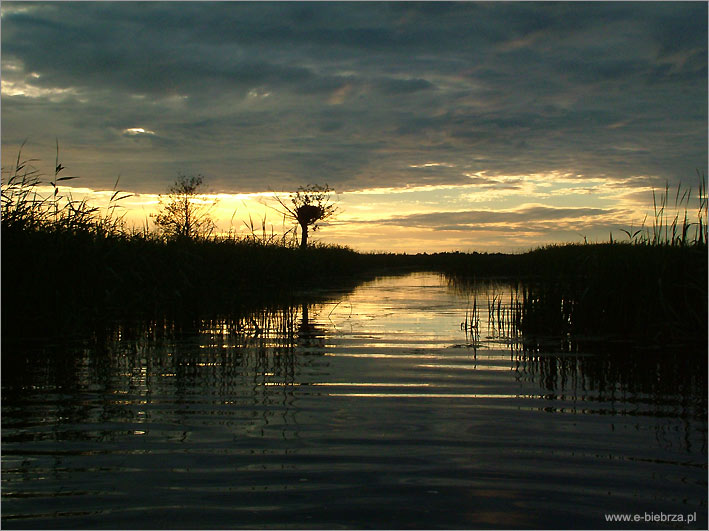 fot. Krzysztof Pochodowicz