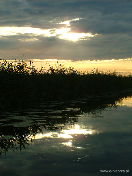 fot. Krzysztof Pochodowicz