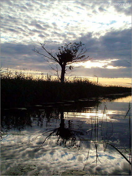 fot. Krzysztof Pochodowicz