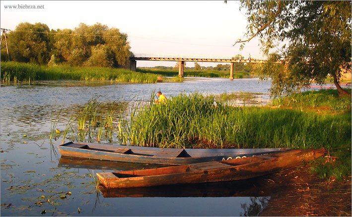 fot. Krzysztof Pochodowicz