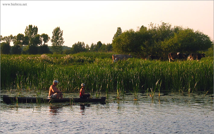 fot. Krzysztof Pochodowicz