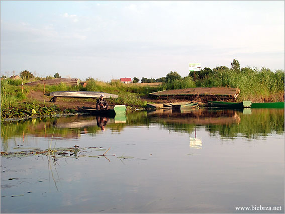 fot. Krzysztof Pochodowicz