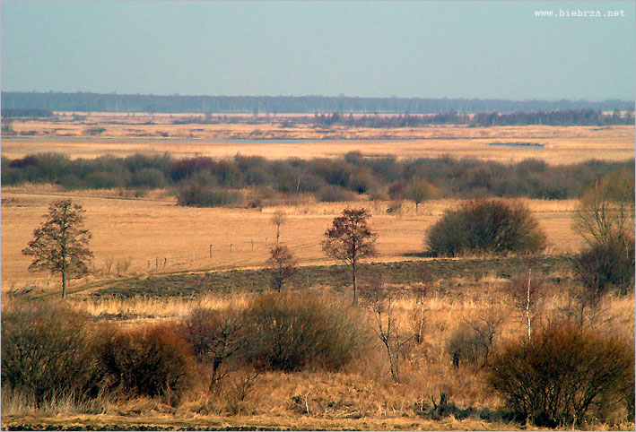 Fot. Krzysztof Pochodowicz