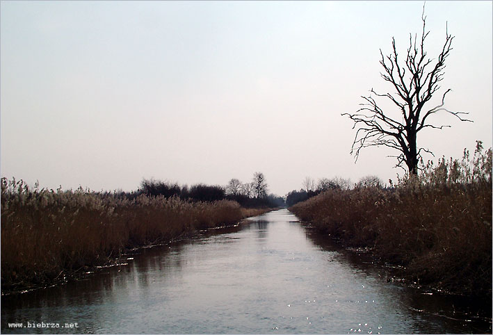 Fot. Krzysztof Pochodowicz