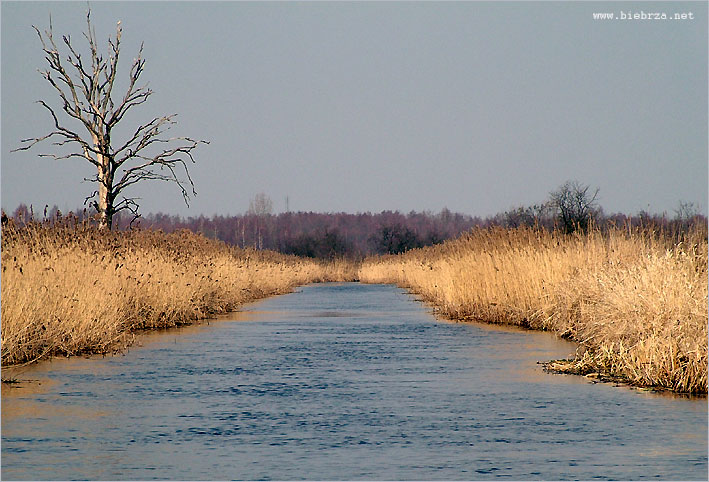 Fot. Krzysztof Pochodowicz