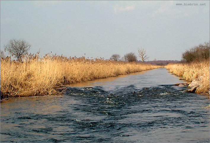 Fot. Krzysztof Pochodowicz