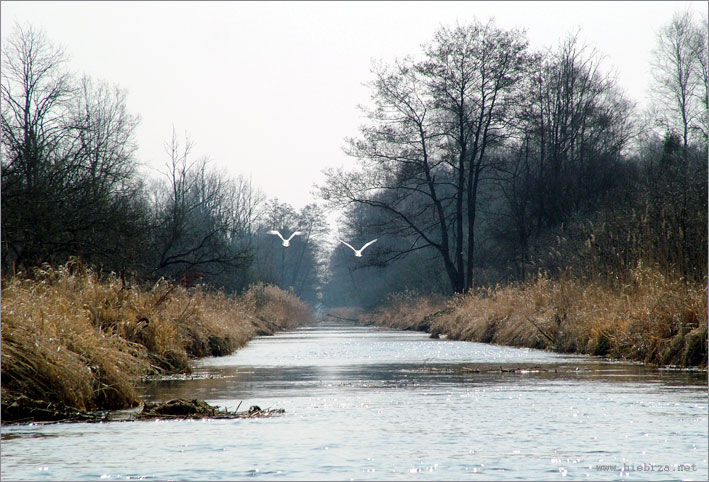 Fot. Krzysztof Pochodowicz