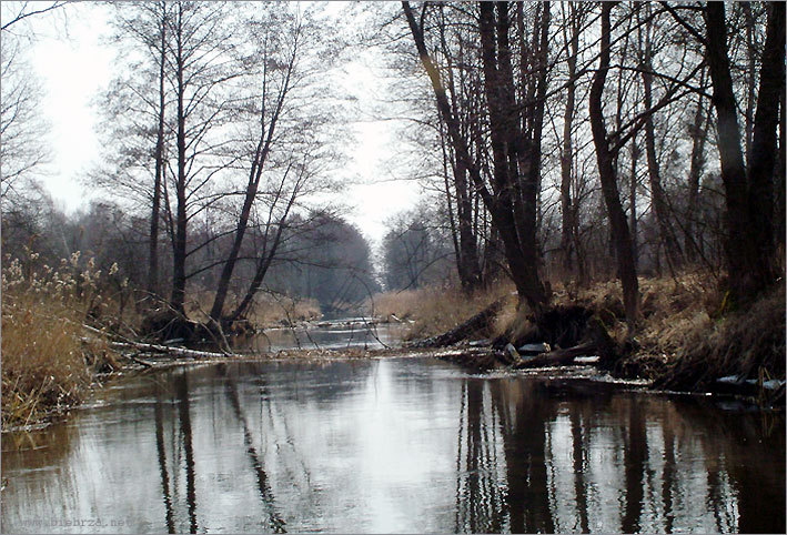 Fot. Krzysztof Pochodowicz