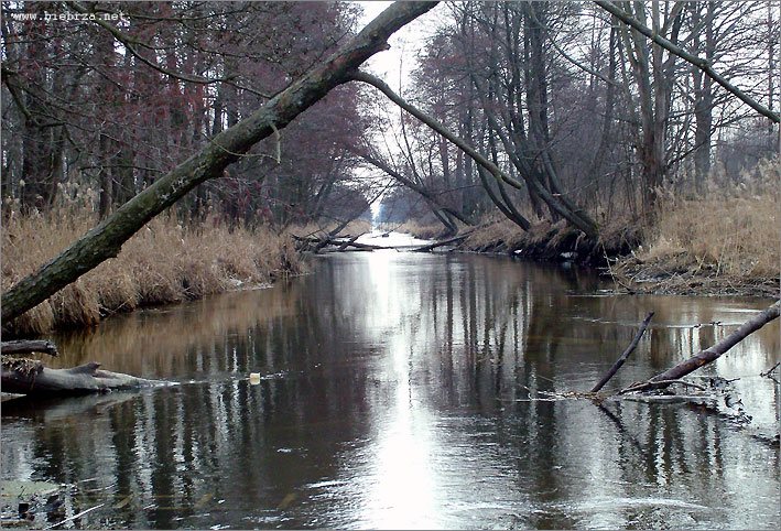 Fot. Krzysztof Pochodowicz