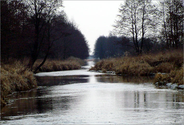 Fot. Krzysztof Pochodowicz