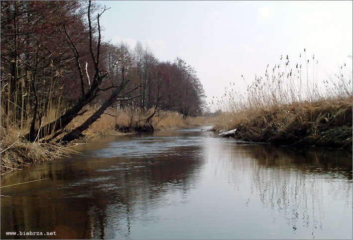 Fot. Krzysztof Pochodowicz