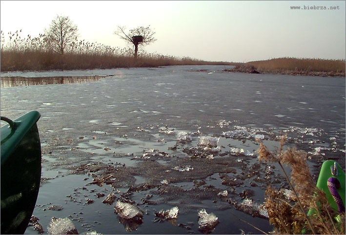 Fot. Krzysztof Pochodowicz