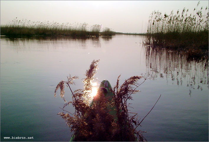 Fot. Krzysztof Pochodowicz