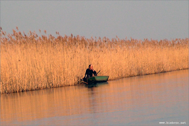 Fot. Krzysztof Pochodowicz