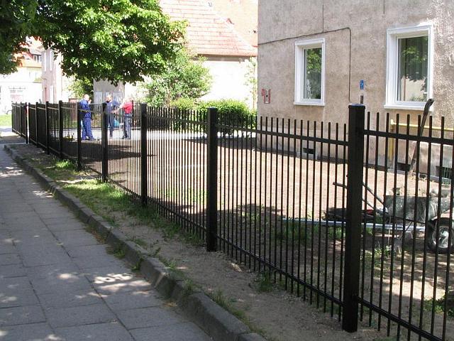 zd61