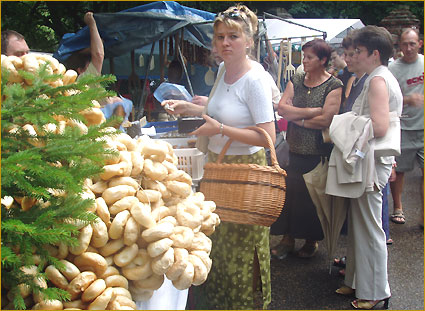 08.08.2004 r. - MUZEUM ROLNICTWA W CIECHANOWCU...