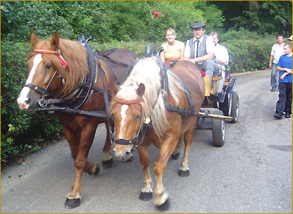 08.08.2004 r. - MUZEUM ROLNICTWA W CIECHANOWCU...